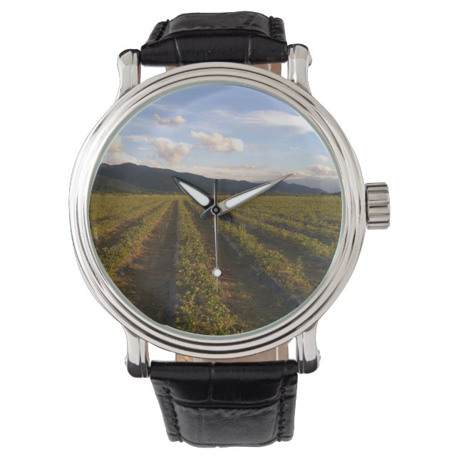 zomermuurwacht horloge (Voorkant)