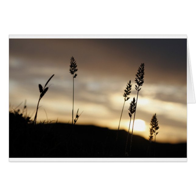 zomernacht (Voorkant Horizontaal)