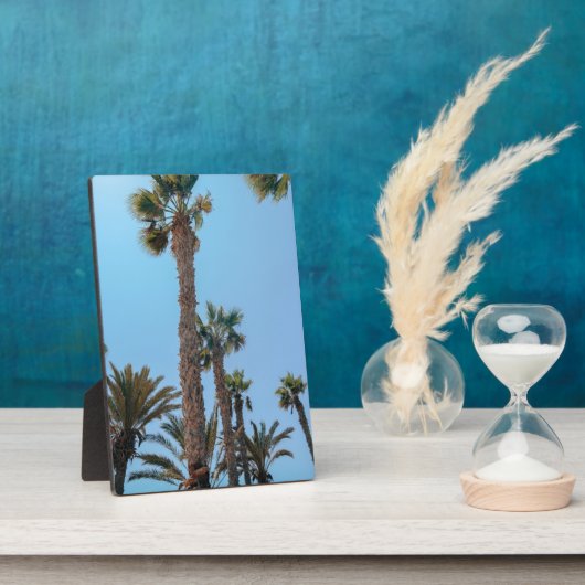 Zomerpalmboom Fotoplaat (Zijkant)