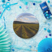 zomerpapier bord (Feest)