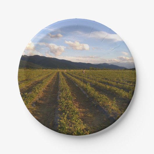 zomerpapier bord (Voorkant)