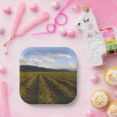 zomerpapier bord (Feest)