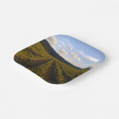 zomerpapier bord (Gebogen)