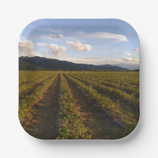 zomerpapier bord (Voorkant)