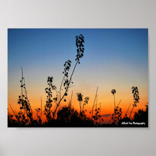Zomerplant Silhouetten Poster