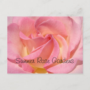 Zomerrozentuin Postkaart Speciale Evenementen Roze