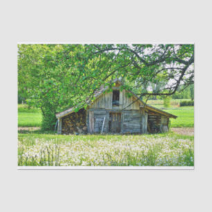 Zomerschuur met Stacks van Logs & Dandelion Field Tissuepapier