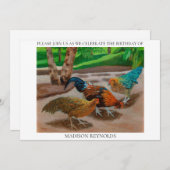 Zomerse Boerderij Scene In Helder Zonlicht Verjaar (Voorkant / Achterkant)