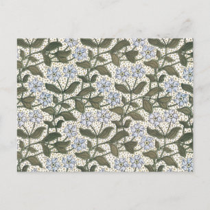 Zomerse maagdenpalmbloem  Elegant Bloemen Briefkaart