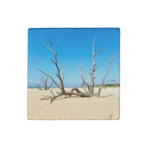 Zomerstrand