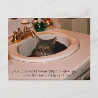 zomertijd coole kat briefkaart