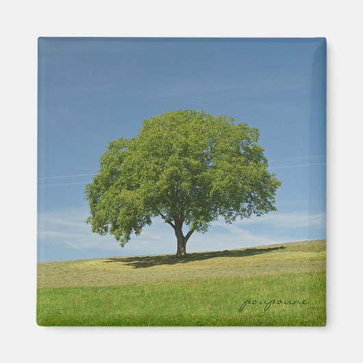zomertijd magneet (Voorkant)