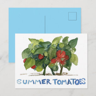 Zomertomaten Fruit Groentetuin Penvriend Briefkaart
