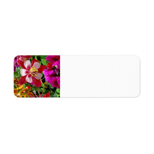 Zomertuin adreslabel etiket (Voorkant)