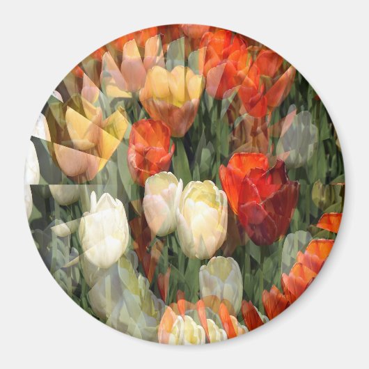 Zomertuin........ Magneet (Voorkant)
