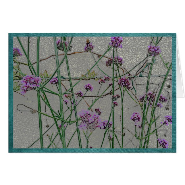 Zomertuinbloemen #1 (Voorkant Horizontaal)