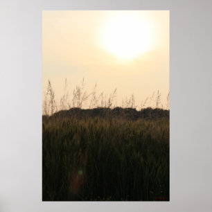 zomerveld poster