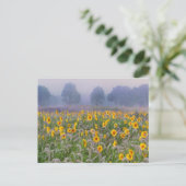 zomervelden briefkaart (Staand voorkant)