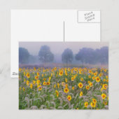 zomervelden briefkaart (Voorkant / Achterkant)