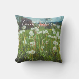zomerweide met andelions kussen