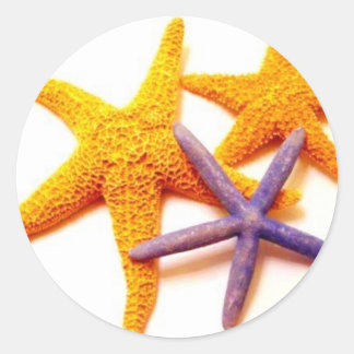 Zomerzeesterren Stickers