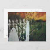 zomerzonsondergang briefkaart (Voorkant / Achterkant)