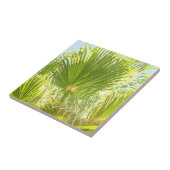 Zomfbomen — Bleek groen Tegeltje (Zijkant)