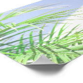 Zomfpalmboom laat Bleek groen deegsel over Poster (Hoek)