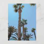 Zompalmen Briefkaart (Voorkant)