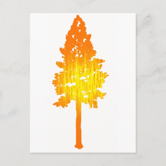 Zon aanraken briefkaart (Voorkant)