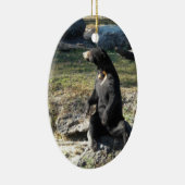 Zon Beer in de dierentuin Keramisch Ornament (Rechts)