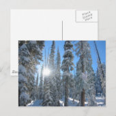 Zon door bomen in de winter briefkaart (Voorkant / Achterkant)