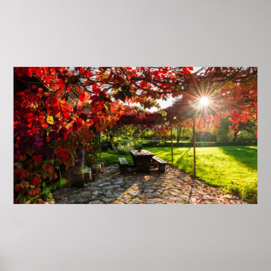 Zon door herfstbladeren, Kroatië Poster (Voorkant)