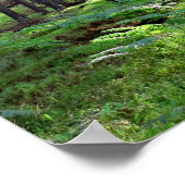 Zon door het bos poster (Hoek)