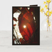 Zon door Rood Blad Kaart (Gele Bloem)