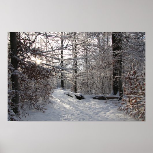 Zon en koude poster (Voorkant)