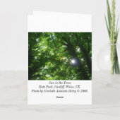 Zon in de bomen - Snel. Kaart (Achterkant)