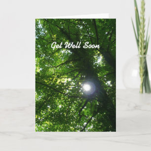 Zon in de bomen - Snel. Kaart