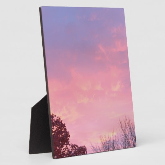  zon in het park EASEL Fotoplaat (Zijkant)