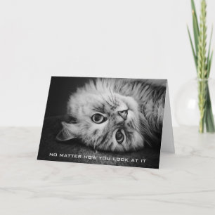 Zo'n meowvelous-verjaardagskaart kaart