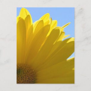 Zon op bloemblaadjes briefkaart