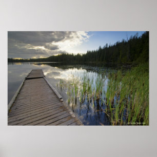 Zon op een klein meer poster