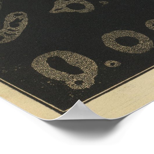 Zon, Spots on the Sun, Transits of Mercury & Venus Poster (Hoek)