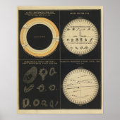 Zon, Spots on the Sun, Transits of Mercury & Venus Poster (Voorkant)