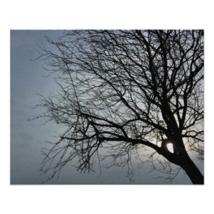 zon verbergt zich foto afdruk