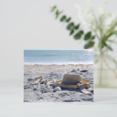 Zon, zand, strand, vakantie briefkaart (Staand voorkant)