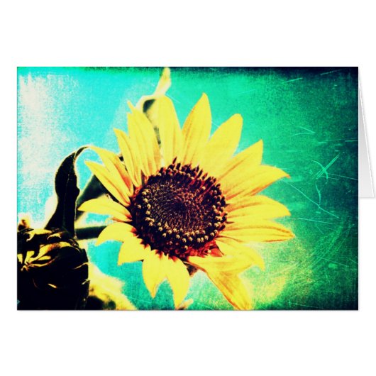 Zondag (Voorkant Horizontaal)