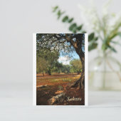 Zondag in de olijftuin briefkaart (Staand voorkant)