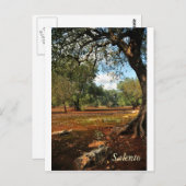 Zondag in de olijftuin briefkaart (Voorkant / Achterkant)