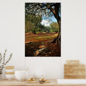 Zondag in de olijftuin poster (Keuken)